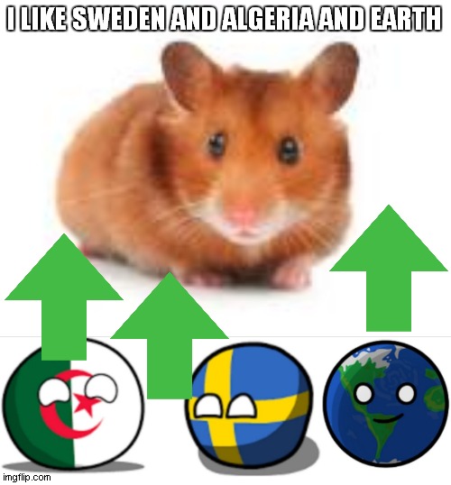 hamster and my freinds | I LIKE SWEDEN AND ALGERIA AND EARTH | image tagged in hamster algeria country ball,algeria sweden earth | made w/ Imgflip meme maker