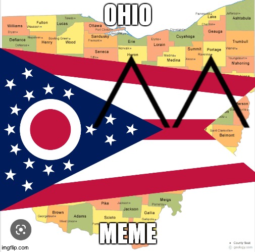 ohio meme | OHIO; MEME | image tagged in ohio state buckeyes | made w/ Imgflip meme maker