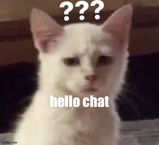 ? | hello chat | made w/ Imgflip meme maker