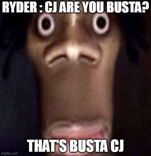 Quandale dingle | RYDER : CJ ARE YOU BUSTA? THAT'S BUSTA CJ | image tagged in quandale dingle | made w/ Imgflip meme maker