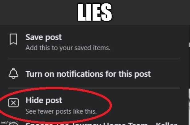 Hide Lies | LIES | image tagged in facebook problems | made w/ Imgflip meme maker