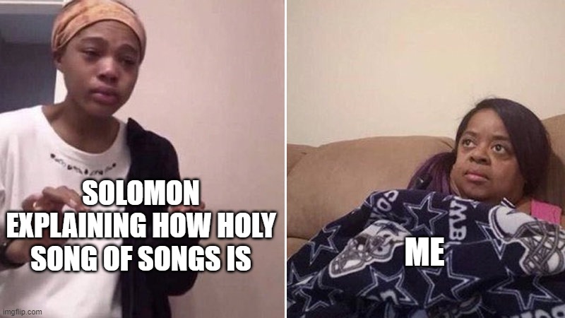 Me explaining to my mom | SOLOMON EXPLAINING HOW HOLY SONG OF SONGS IS; ME | image tagged in me explaining to my mom | made w/ Imgflip meme maker