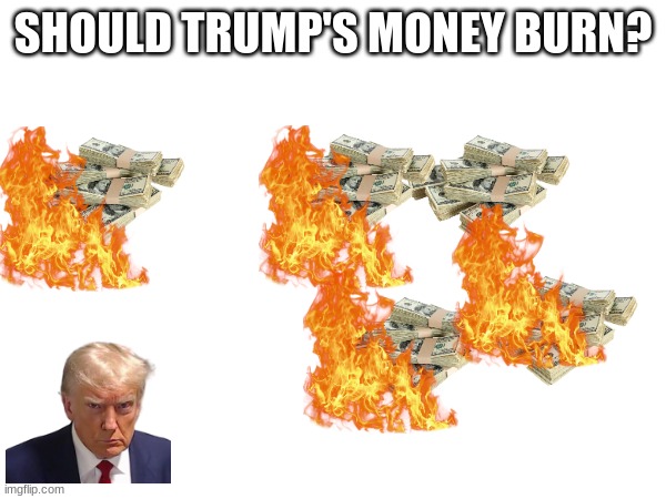 SHOULD TRUMP'S MONEY BURN? | made w/ Imgflip meme maker