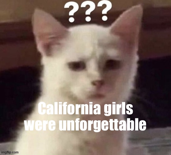 ? | California girls were unforgettable | made w/ Imgflip meme maker