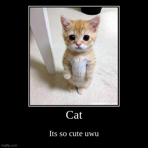 Cat | Its so cute uwu | image tagged in funny,demotivationals | made w/ Imgflip demotivational maker