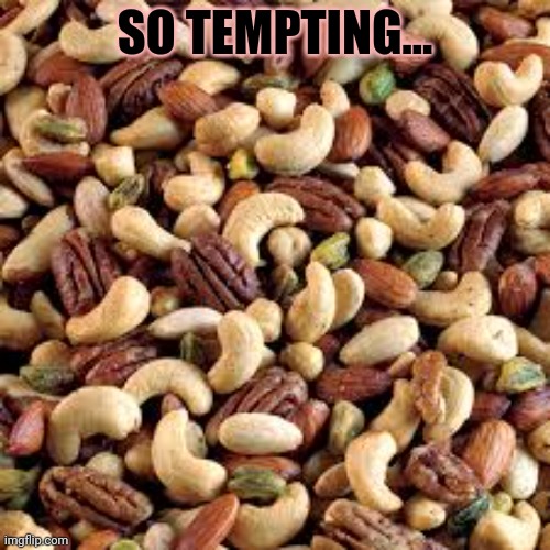 SO TEMPTING... | made w/ Imgflip meme maker