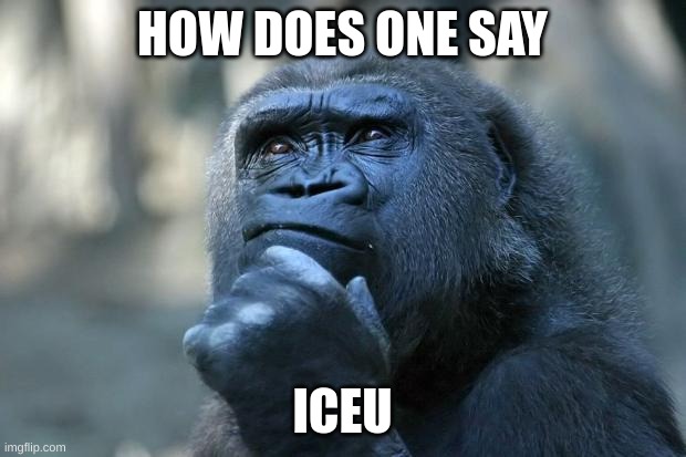 is it ice-u or something else | HOW DOES ONE SAY; ICEU | image tagged in deep thoughts | made w/ Imgflip meme maker