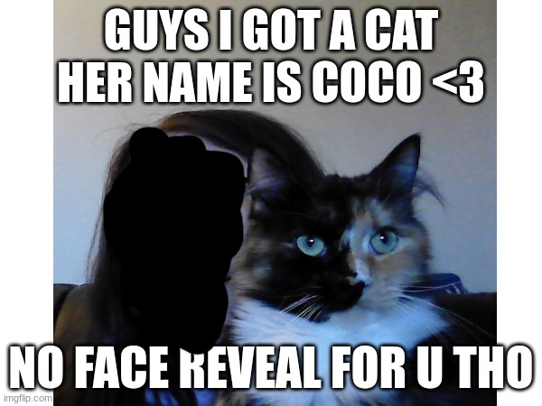 shes two, calico tortoiseshell, and shes curled up on my lap rn! | GUYS I GOT A CAT HER NAME IS COCO <3; NO FACE REVEAL FOR U THO | image tagged in aww,cute cat,coco | made w/ Imgflip meme maker