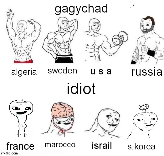 gagychad counntry vs 1DioT c.0UNtry | gagychad; russia; sweden; u s a; algeria; idiot; marocco; israil; france; s.korea | image tagged in x in the past vs x now | made w/ Imgflip meme maker