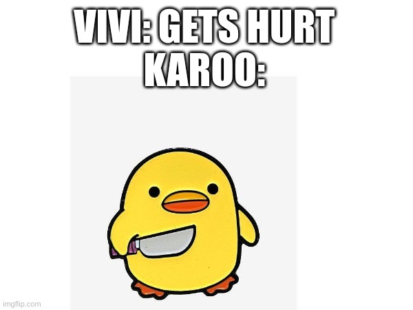 When Vivi gets hurt | VIVI: GETS HURT
KAROO: | image tagged in one piece,duck holding knif,duck,anime | made w/ Imgflip meme maker