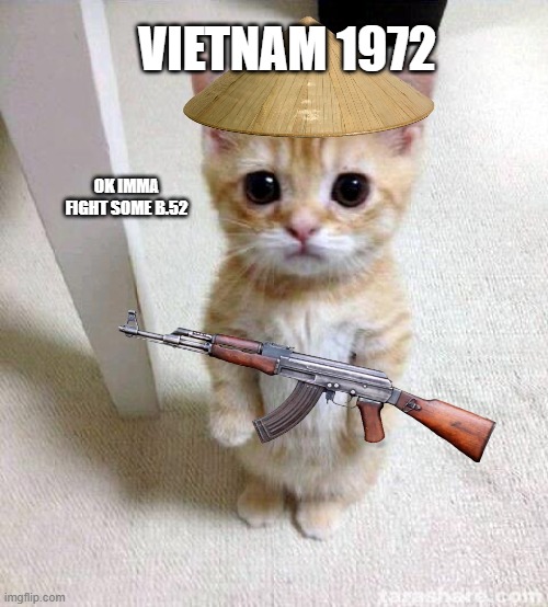 Cute Cat | VIETNAM 1972; OK IMMA FIGHT SOME B.52 | image tagged in memes,cute cat | made w/ Imgflip meme maker