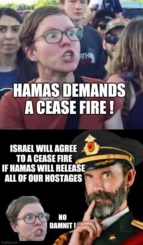 The Solution is Simple | HAMAS DEMANDS A CEASE FIRE ! ISRAEL WILL AGREE
 TO A CEASE FIRE IF HAMAS WILL RELEASE ALL OF OUR HOSTAGES; NO DAMNIT ! | image tagged in angry liberal,captain obvious,leftists,liberals,democrats,hamas | made w/ Imgflip meme maker