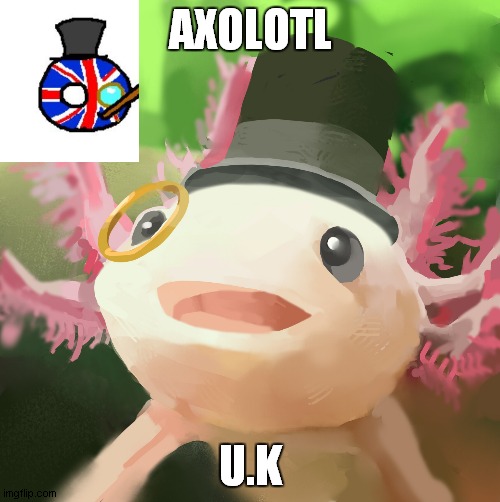 axolotl uk | AXOLOTL; U.K | image tagged in dapper axolotl | made w/ Imgflip meme maker