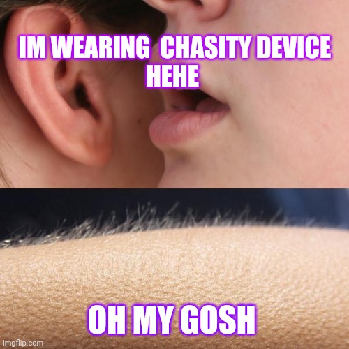Chasity | IM WEARING  CHASITY DEVICE HEHE; OH MY GOSH | image tagged in whisper and goosebumps | made w/ Imgflip meme maker