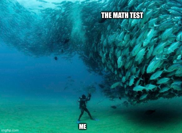 Tests be like | THE MATH TEST; ME | image tagged in so i guess you can say things are getting pretty serious | made w/ Imgflip meme maker