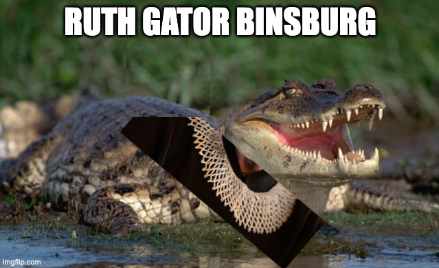 For you, when random phrases pop out of your mouth | RUTH GATOR BINSBURG | image tagged in alligator,spoonerism,ruth bader ginsburg | made w/ Imgflip meme maker