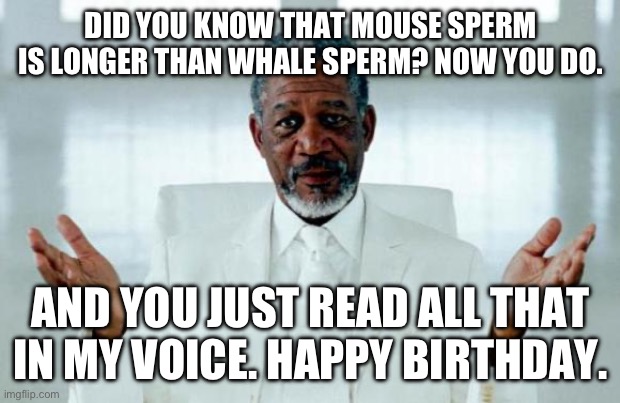God Morgan Freeman | DID YOU KNOW THAT MOUSE SPERM IS LONGER THAN WHALE SPERM? NOW YOU DO. AND YOU JUST READ ALL THAT IN MY VOICE. HAPPY BIRTHDAY. | image tagged in god morgan freeman | made w/ Imgflip meme maker