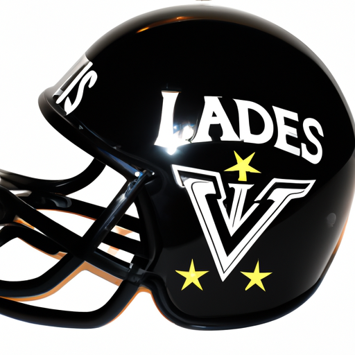 High Quality las vegas raiders helmet Blank Meme Template