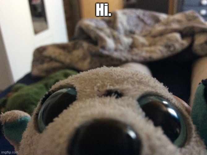 Puppy all up in yo face | Hi. | image tagged in puppy all up in yo face | made w/ Imgflip meme maker