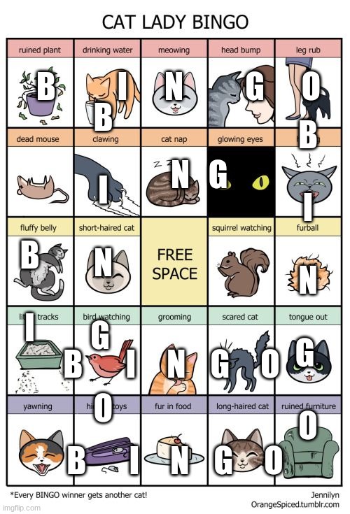 I might be slighhtly addicted | B
 
I
 
N
 
G 
 
O; B          I      N          G      O; B
 
I
 
N
 
G 
 
O; N   G; B
 
I; B       I     N    G     O; B       I     N    G     O | image tagged in cat lady bingo | made w/ Imgflip meme maker