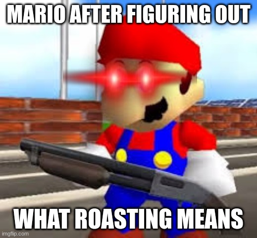 mario gun | MARIO AFTER FIGURING OUT; WHAT ROASTING MEANS | image tagged in mario gun | made w/ Imgflip meme maker