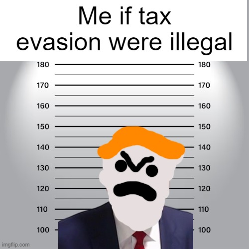Mugshot | Me if tax evasion were illegal | image tagged in mugshot | made w/ Imgflip meme maker