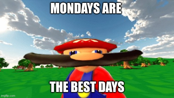 mario smg4 insane | MONDAYS ARE THE BEST DAYS | image tagged in mario smg4 insane | made w/ Imgflip meme maker