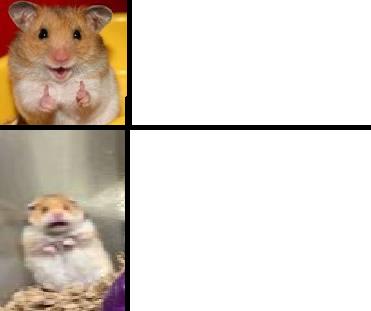 High Quality hamster happy and hamster scary Blank Meme Template