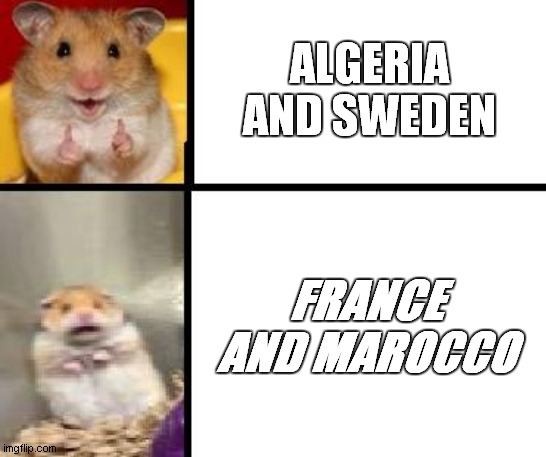 algeria & sweden is happy vs france & marocco is scary | ALGERIA AND SWEDEN; FRANCE AND MAROCCO | image tagged in hamster happy and hamster scary | made w/ Imgflip meme maker