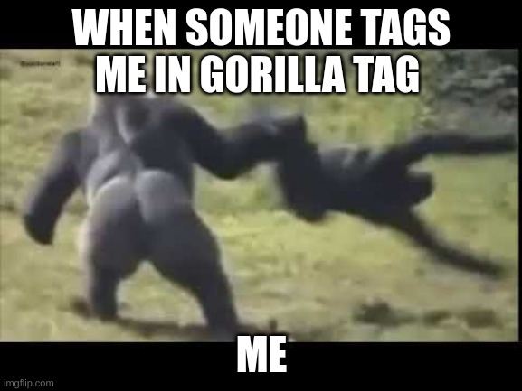 gorilla tag | WHEN SOMEONE TAGS ME IN GORILLA TAG; ME | image tagged in monke | made w/ Imgflip meme maker