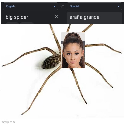 Big Spider = Ariana Grande | image tagged in memes,meme,funny memes,funny meme | made w/ Imgflip meme maker