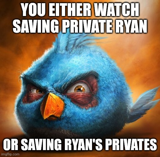 Realistic Angry Birds meme | YOU EITHER WATCH SAVING PRIVATE RYAN; OR SAVING RYAN'S PRIVATES | image tagged in angry birds,saving private ryan,realistic angry birds,saving ryan's privates | made w/ Imgflip meme maker