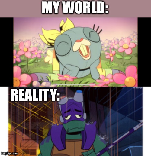 What my world looks like and what reality looks like. | MY WORLD:; REALITY: | image tagged in funny memes | made w/ Imgflip meme maker