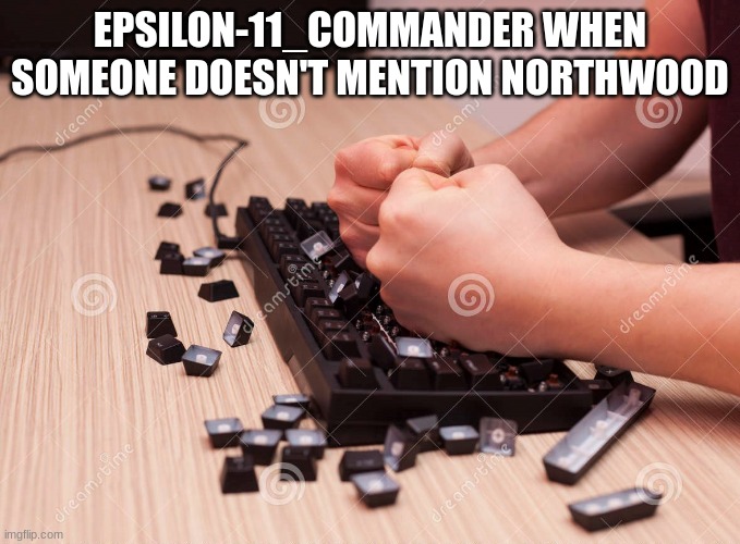 Keyboard Smash | EPSILON-11_COMMANDER WHEN SOMEONE DOESN'T MENTION NORTHWOOD | image tagged in keyboard smash | made w/ Imgflip meme maker