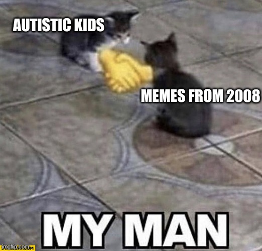 I Hate Autistic Kids | AUTISTIC KIDS; MEMES FROM 2008 | image tagged in cats shaking hands | made w/ Imgflip meme maker