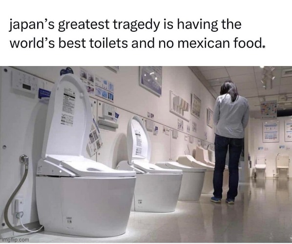 Jap Toilets | image tagged in mexican food | made w/ Imgflip meme maker