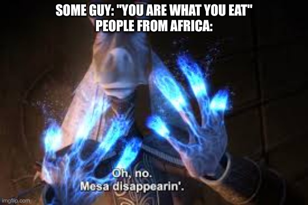 oh no mesa disappearing | SOME GUY: "YOU ARE WHAT YOU EAT"
PEOPLE FROM AFRICA: | image tagged in oh no mesa disappearing | made w/ Imgflip meme maker