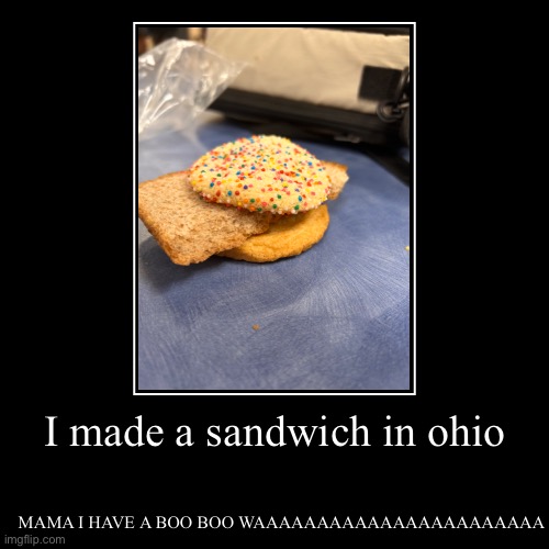 Ohio be like part 1 | I made a sandwich in ohio | MAMA I HAVE A BOO BOO WAAAAAAAAAAAAAAAAAAAAAAA | image tagged in funny,demotivationals,ohio,fun | made w/ Imgflip demotivational maker