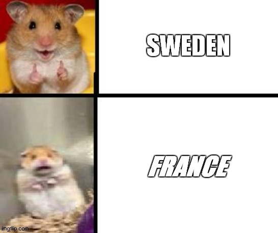 sweden vs france | SWEDEN; FRANCE | image tagged in hamster happy and hamster scary | made w/ Imgflip meme maker