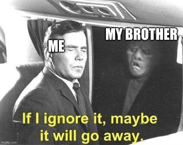 Ignore it go away | MY BROTHER; ME | image tagged in ignore it go away | made w/ Imgflip meme maker