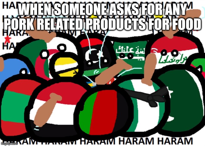 Middle East | WHEN SOMEONE ASKS FOR ANY PORK RELATED PRODUCTS FOR FOOD | image tagged in countryballs haram | made w/ Imgflip meme maker