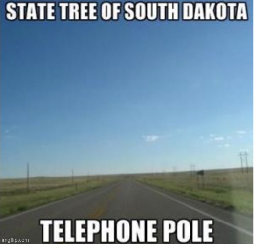 lol | image tagged in funny,state tree,south dakota,meme | made w/ Imgflip meme maker
