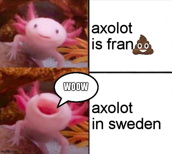 axolotl in france vs axolotl is sweden  (DarthSwede note: and I am swedish:D | axolot is fran; axolot in sweden; WOOW | image tagged in axolotl drake | made w/ Imgflip meme maker