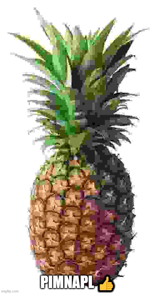 pineapple | PIMNAPL ? | image tagged in pineapple | made w/ Imgflip meme maker