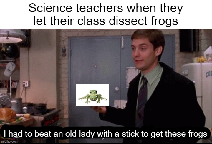 Toby Maguire I had to beat an old lady with a stick to get these | Science teachers when they let their class dissect frogs; I had to beat an old lady with a stick to get these frogs | image tagged in toby maguire i had to beat an old lady with a stick to get these | made w/ Imgflip meme maker