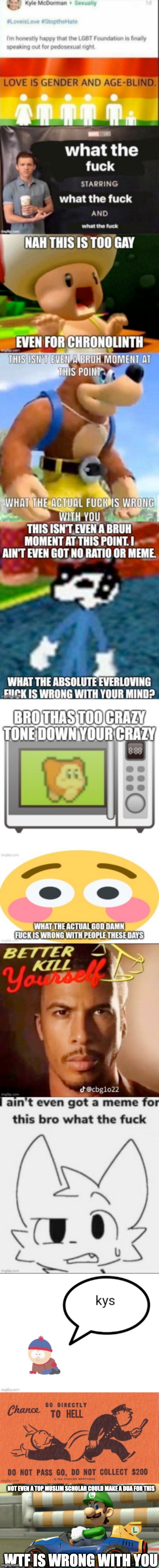 (May: REAL!!) | NOT EVEN A TOP MUSLIM SCHOLAR COULD MAKE A DUA FOR THIS; WTF IS WRONG WITH YOU | image tagged in luigi death stare | made w/ Imgflip meme maker