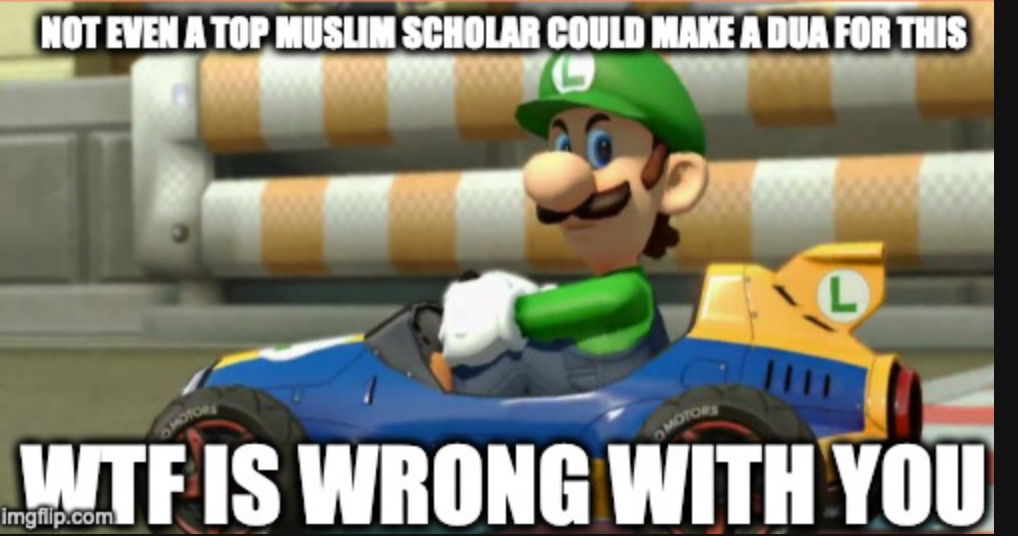 wtf is wrong with you luigi Blank Meme Template