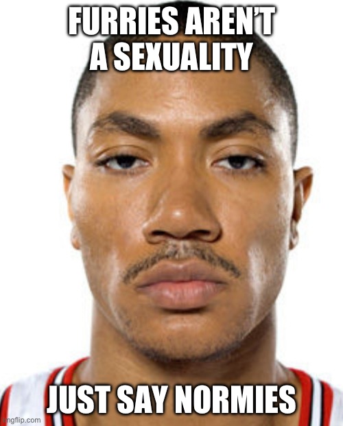 Derrick Rose Straight Face | FURRIES AREN’T A SEXUALITY JUST SAY NORMIES | image tagged in derrick rose straight face | made w/ Imgflip meme maker