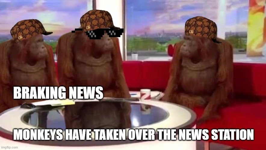 where monkey | BRAKING NEWS; MONKEYS HAVE TAKEN OVER THE NEWS STATION | image tagged in where monkey | made w/ Imgflip meme maker