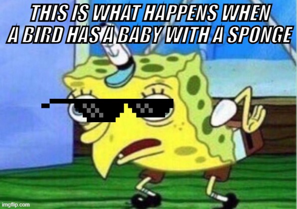 Mocking Spongebob | THIS IS WHAT HAPPENS WHEN A BIRD HAS A BABY WITH A SPONGE | image tagged in memes,mocking spongebob | made w/ Imgflip meme maker